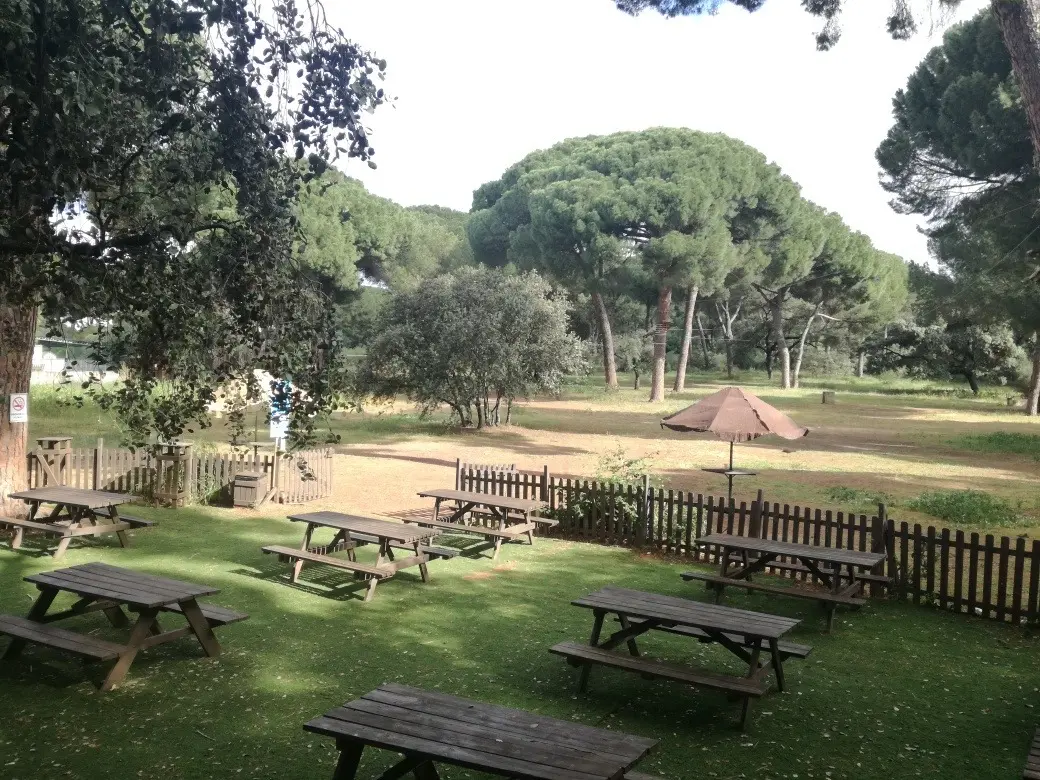 El Bosque Suspendido