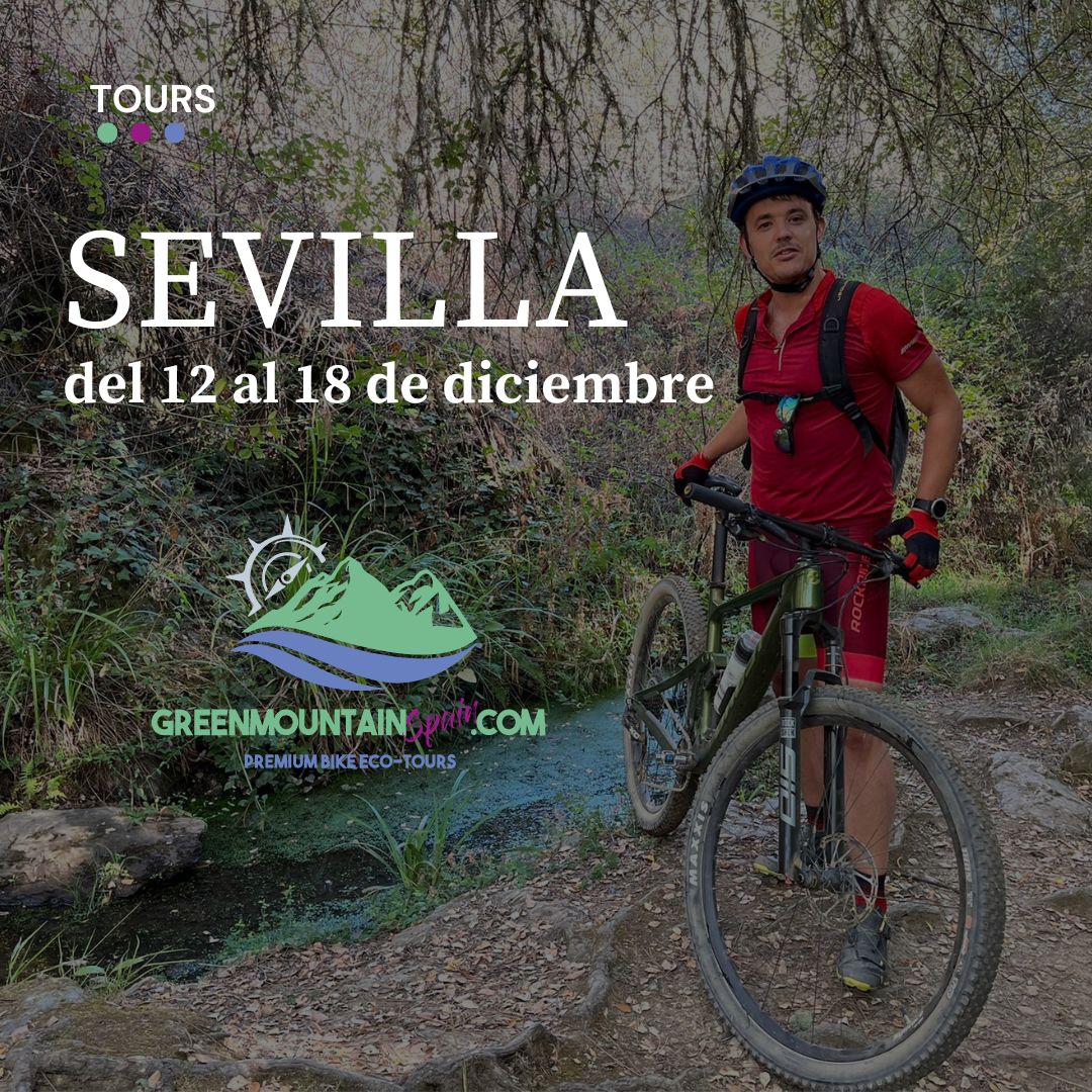 Tour Sevilla