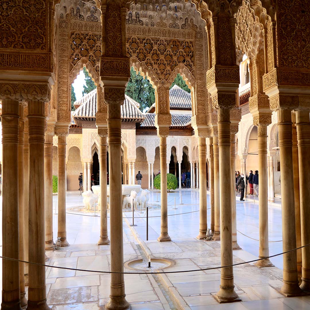 Visita Guiada Alhambra - Tú compras la entrada y te unes a un grupo