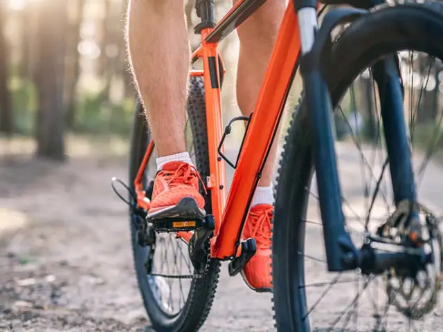 Tour de Séville à vélo, Visites guidées