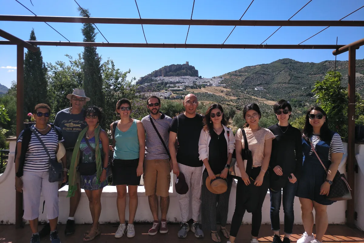 Excursión a los pueblos blancos y ronda desde Sevilla