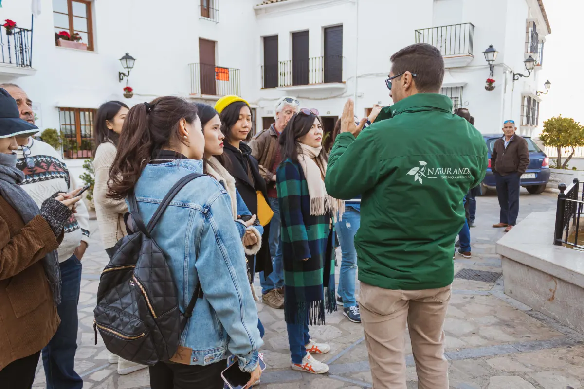 Excursión a los pueblos blancos y ronda desde Sevilla