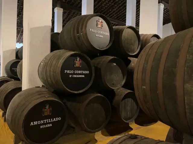 Visita guiada a la Bodega Cayetano del Pino