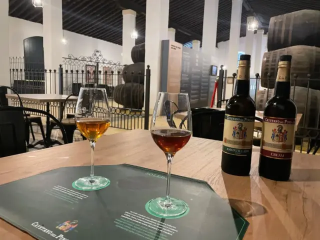 Visita guiada a la Bodega Cayetano del Pino