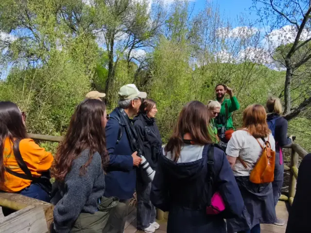Excursión al Parque de Doñana