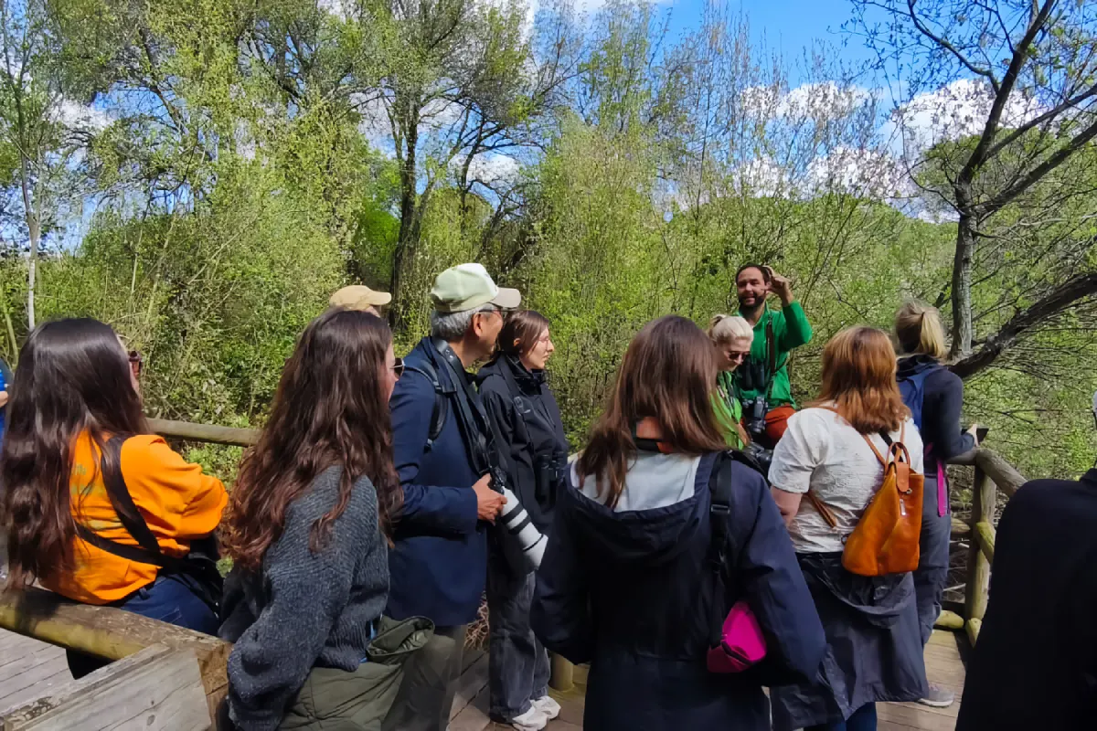 Excursión al Parque de Doñana