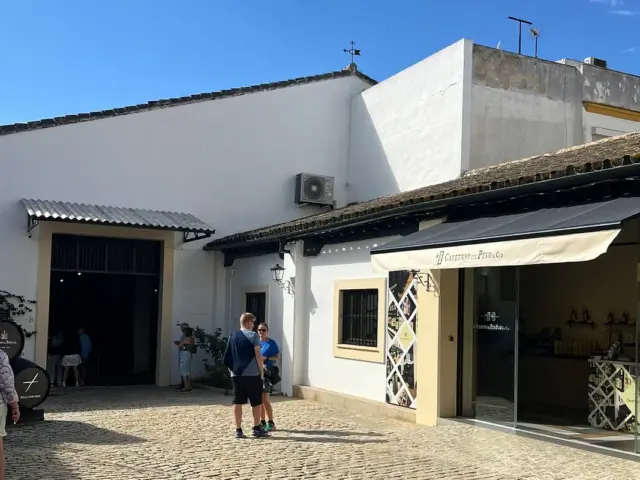 Visita guiada a la Bodega Cayetano del Pino