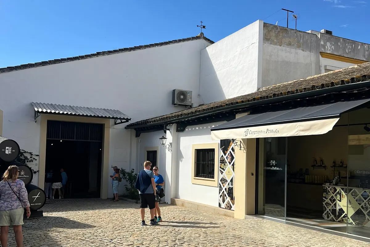 Visita guiada a la Bodega Cayetano del Pino