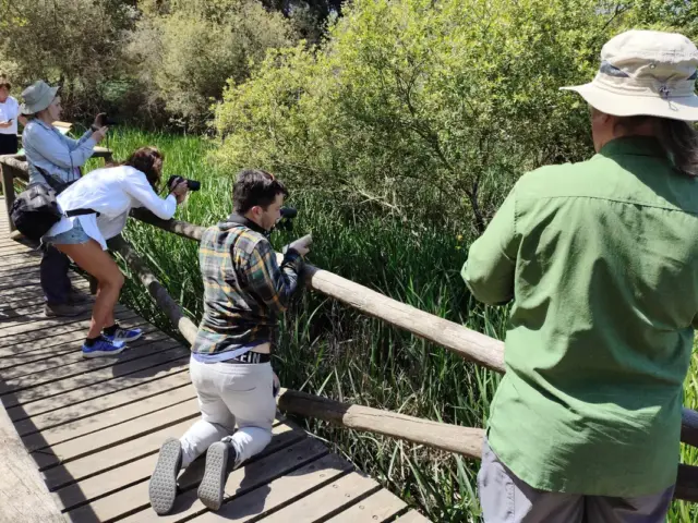 Excursión al Parque de Doñana
