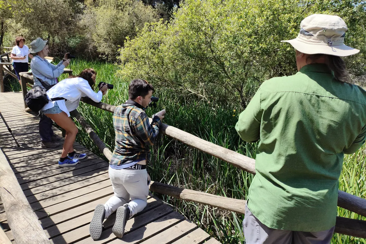 Excursión al Parque de Doñana