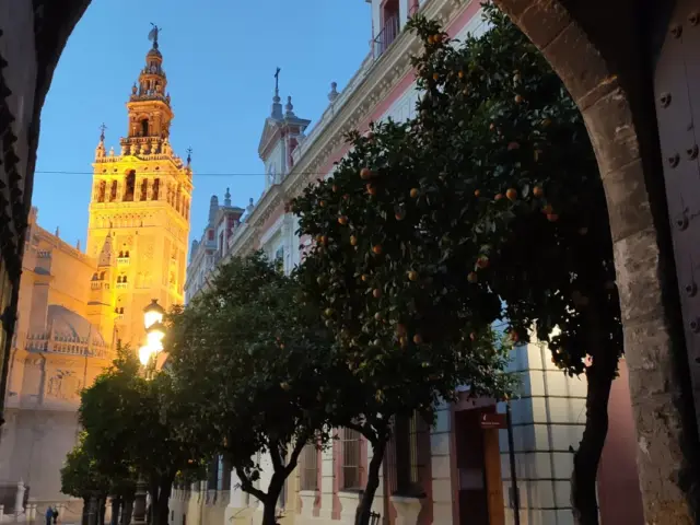 Sevilla Encantada, Visitas Guiadas