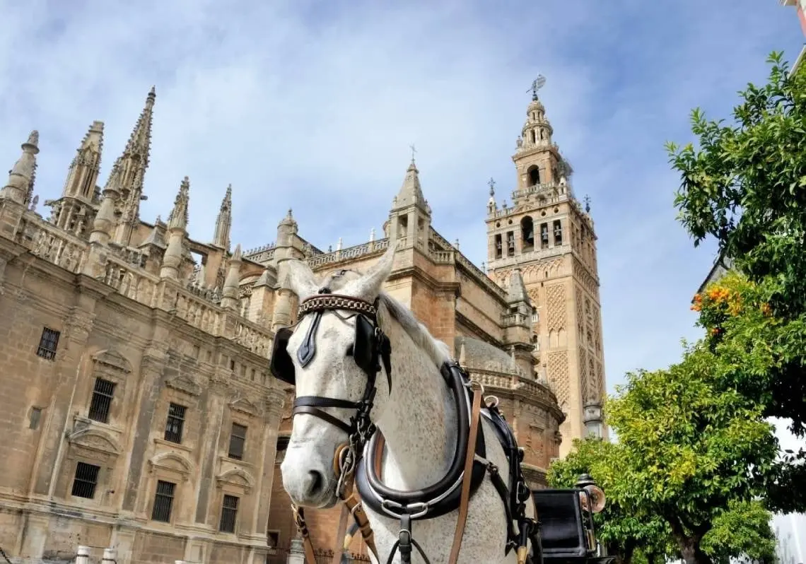 O que fazer em Sevilha de 18 a 24 de maio de 2026: concertos, Candlelight e Dia Internacional dos Museus