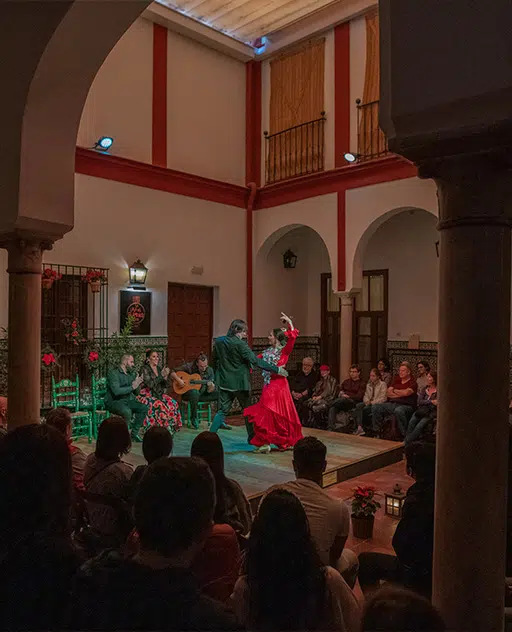 Patio de la casa-palacio de La Casa del Flamenco en el Barrio de Santa Cruz