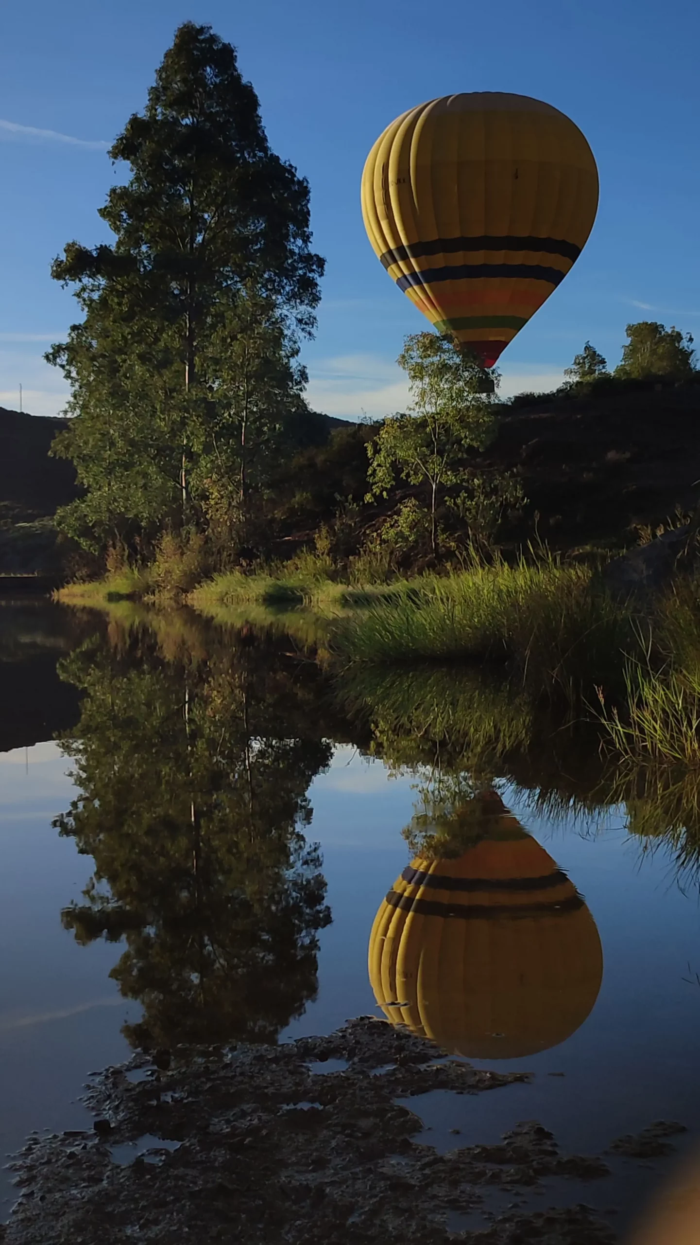 Paseo Globo Sevilla