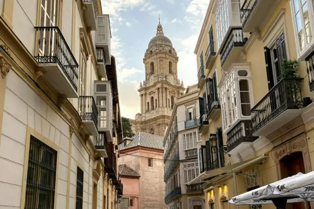 Excursión privada a Málaga desde Sevilla
