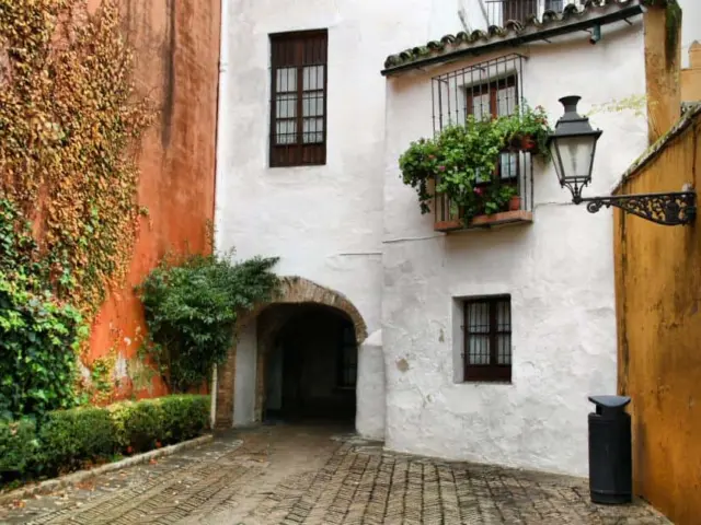 Descubre Sevilla: Tour Privado de 2h30