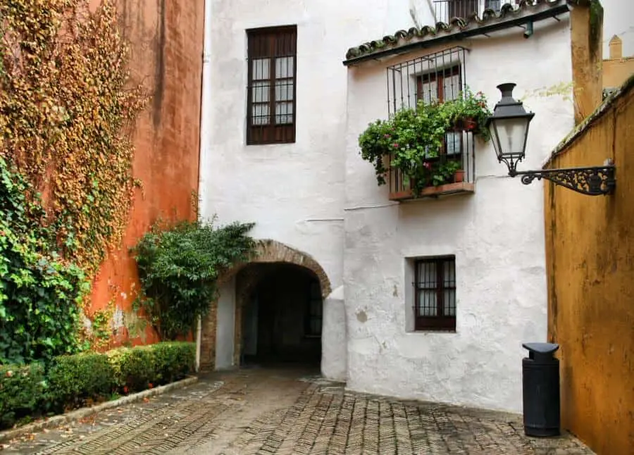 Descubre Sevilla: Tour Privado de 2h30