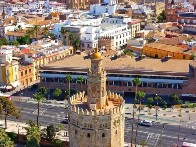 Descubre Sevilla: Tour Privado de 2h30