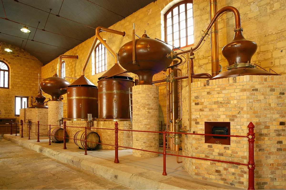 Excursión a Jerez, Cádiz y bodegas desde Sevilla