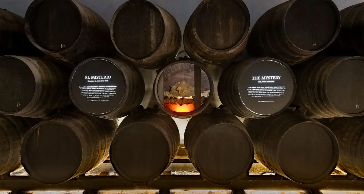 Bodegas Góngora: Bodega – Museo