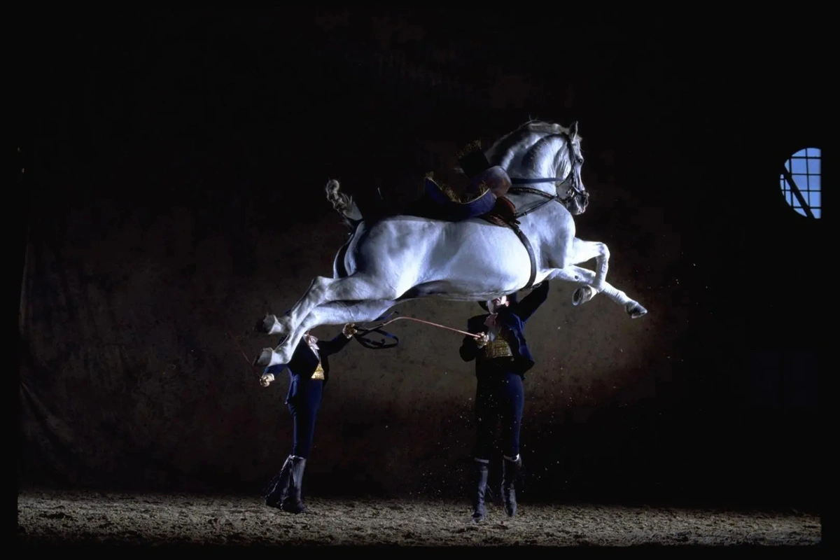 Excursión a Jerez y Cádiz con caballos desde Sevilla