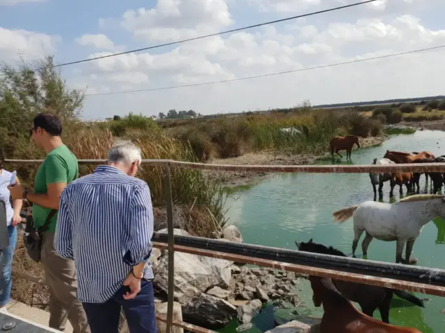 Excursión privada al Parque Nacional de Doñana desde Sevilla