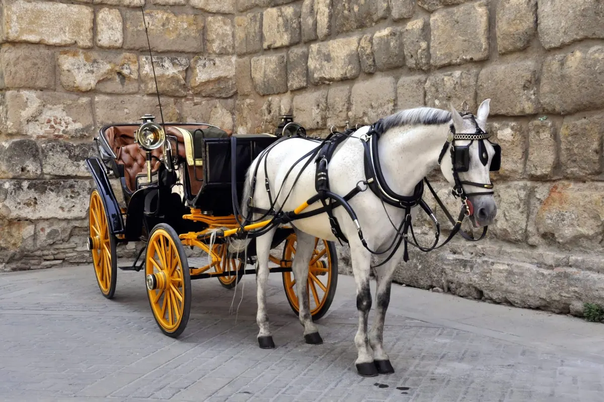 Paseo en calesa por Sevilla