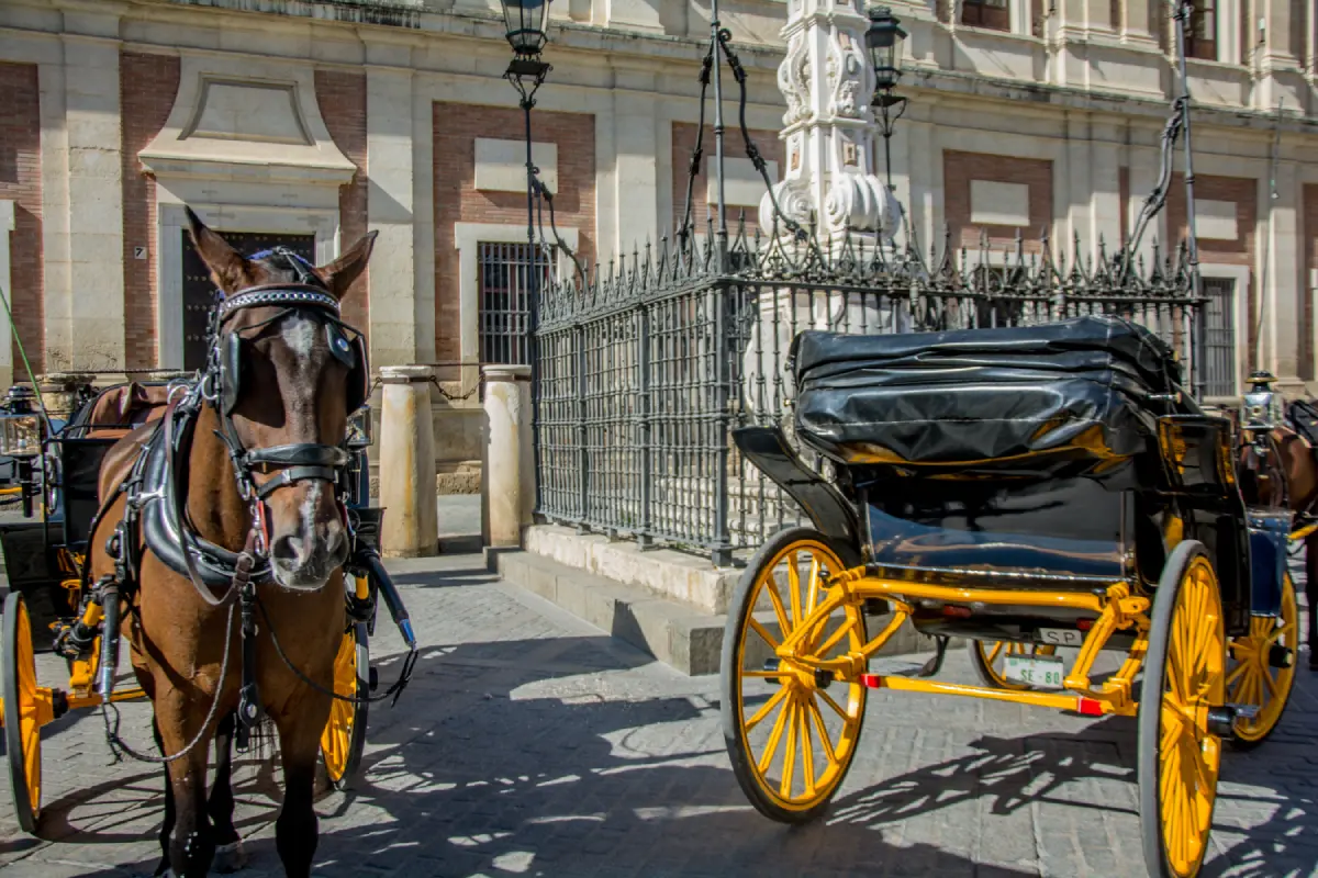 Paseo en calesa por Sevilla