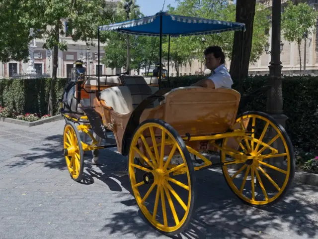 Paseo en calesa por Sevilla