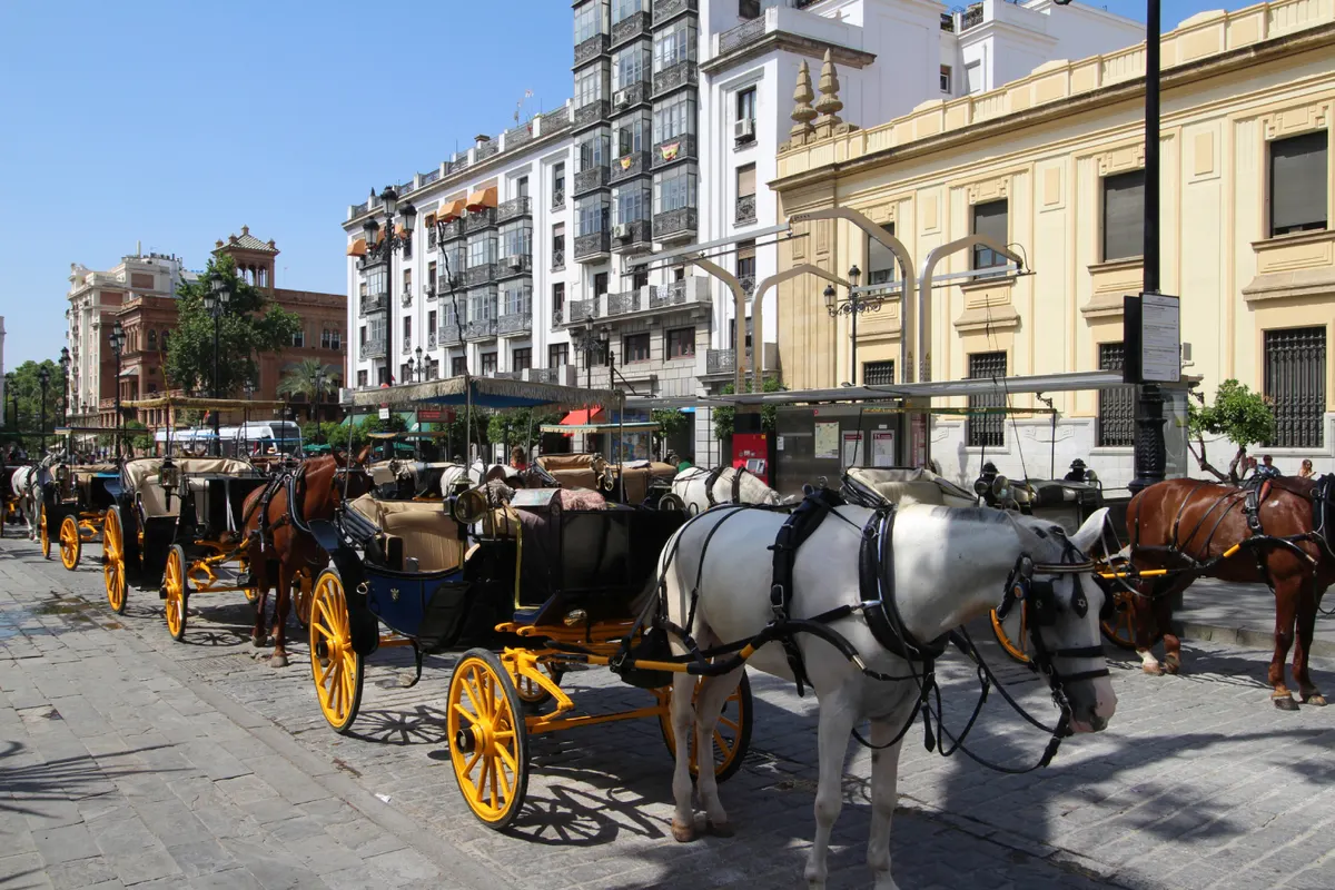 Paseo en calesa por Sevilla