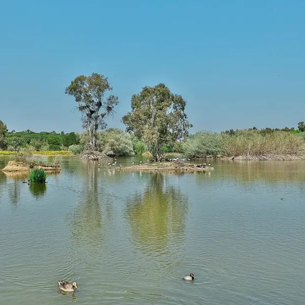 Cañada de los Pájaros, La Puebla del Río