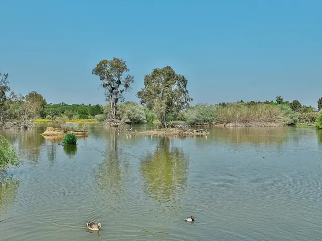 Cañada de los Pájaros, La Puebla del Río