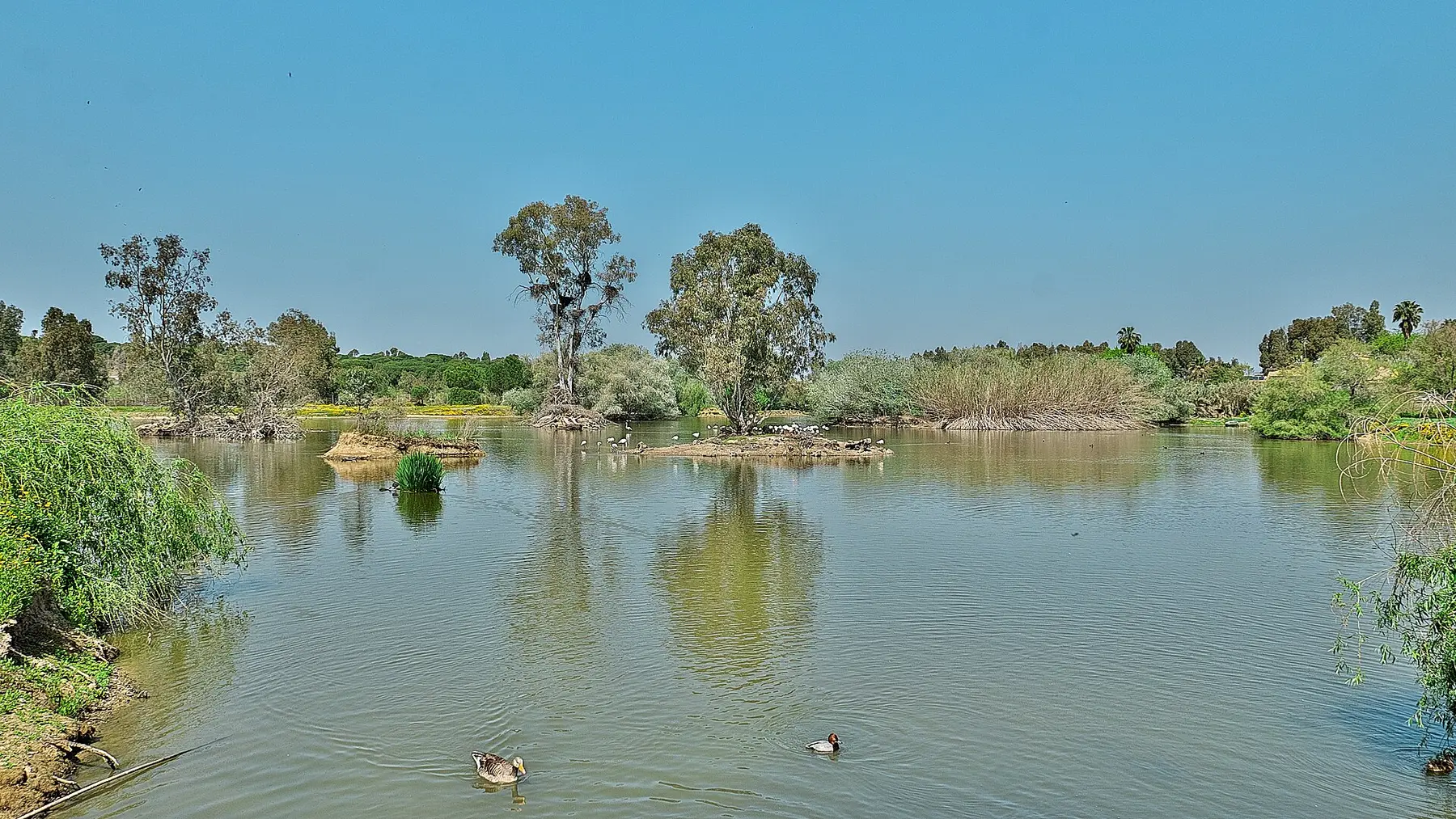 Cañada de los Pájaros, La Puebla del Río