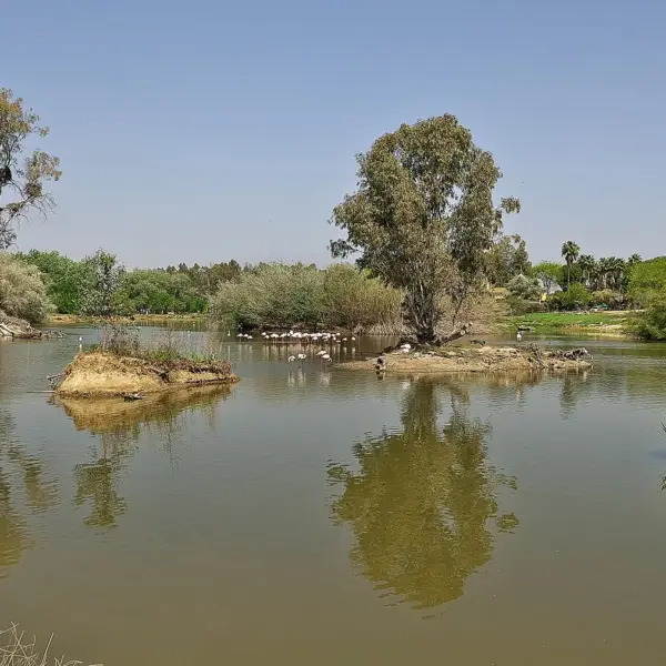 Cañada de los Pájaros, La Puebla del Río