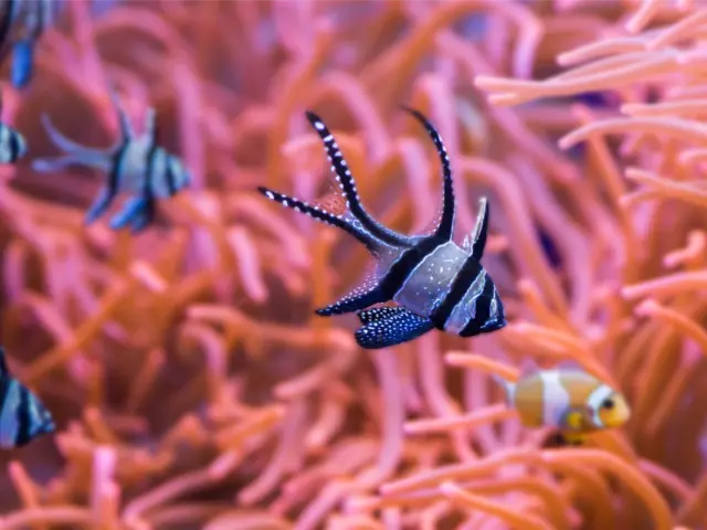 Visita al Acuario de Sevilla