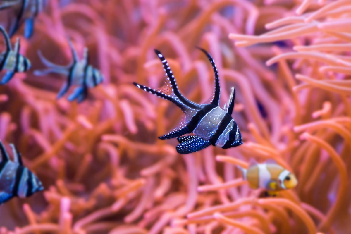 Visita al Acuario de Sevilla