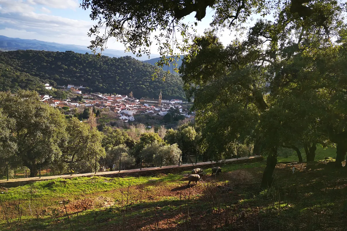 Excursión a Aracena y Ruta del Cerdo Ibérico