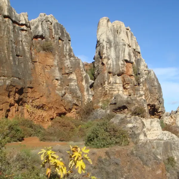Cerro del Hierro, San Nicolás del Puerto