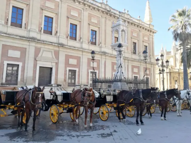 Paseo en calesa por Sevilla