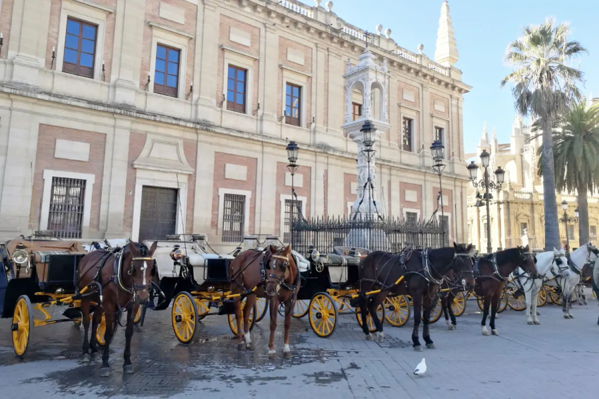 Paseo en calesa por Sevilla