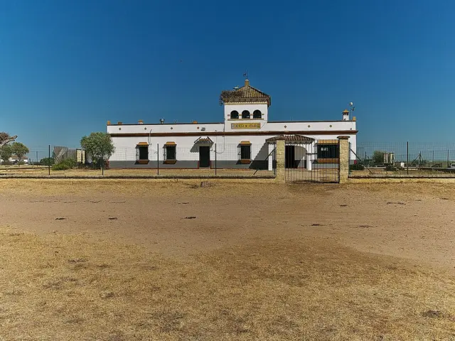 Dehesa de Abajo, La Puebla del Río