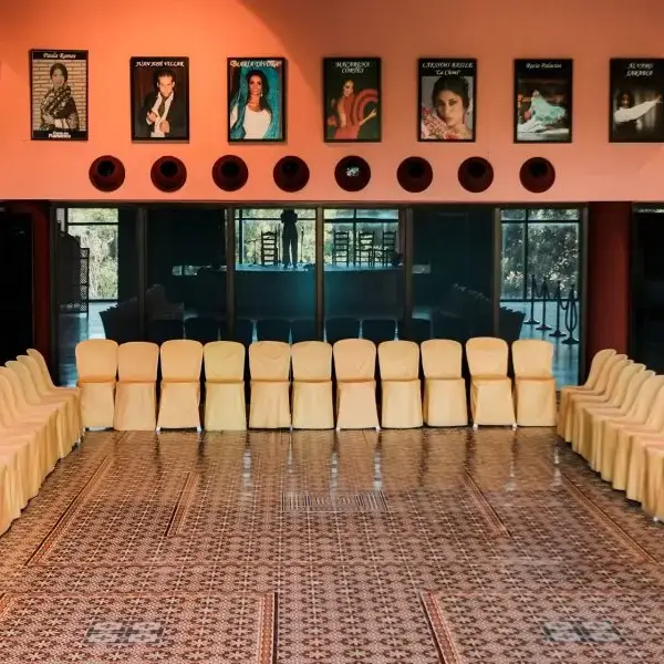 Flamenco en El Palacio Andaluz, Sevilla
