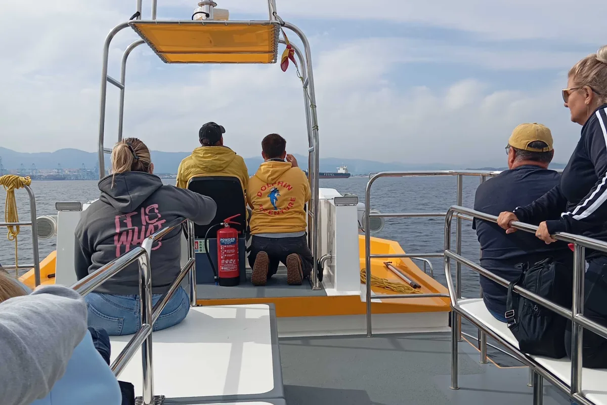Excursión de avistamiento de delfines desde Tarifa