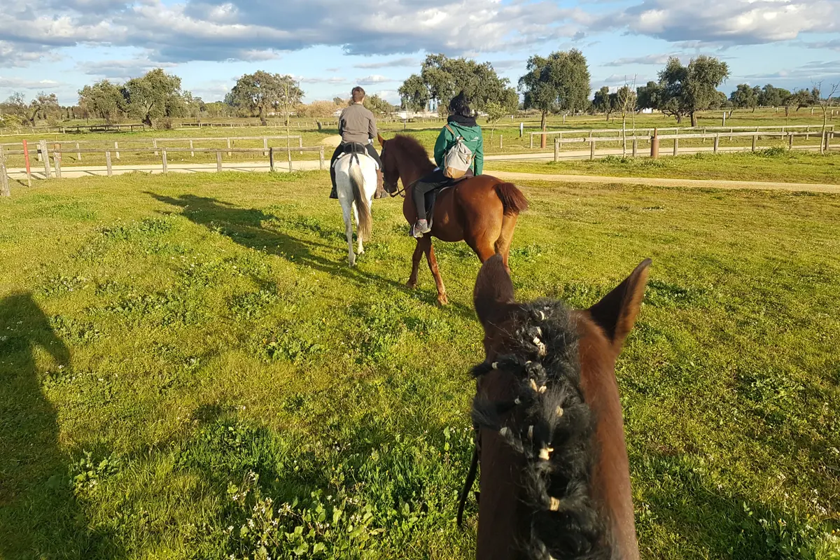 Paseo a caballo en Doñana