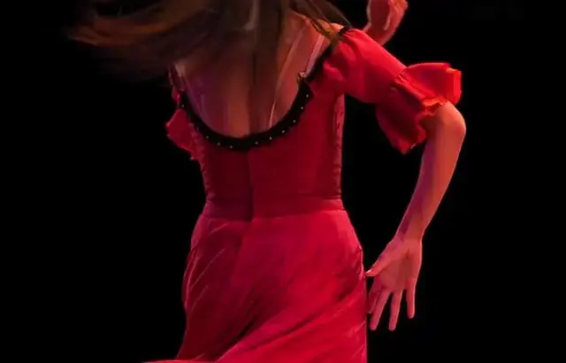 Spettacolo di flamenco in El Palacio Andaluz