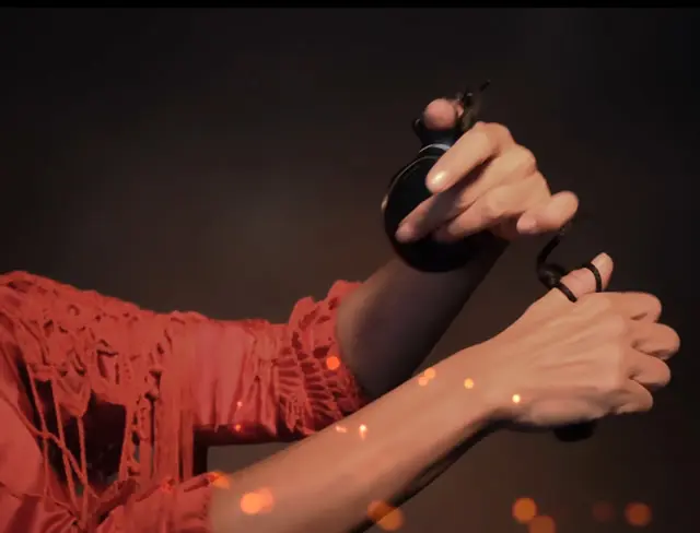 Espectáculo de Flamenco Sevilla - Show Tablao