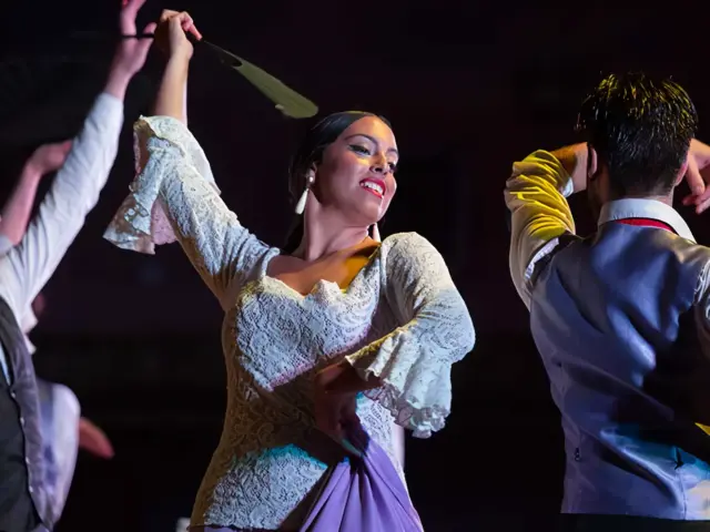 Espectáculo de Flamenco & Cena en el Palacio Andaluz