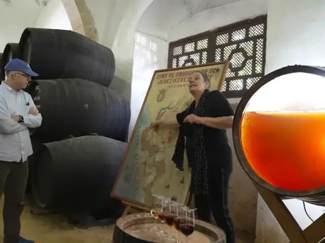 Excursión a Jerez y Cádiz con caballos desde Sevilla