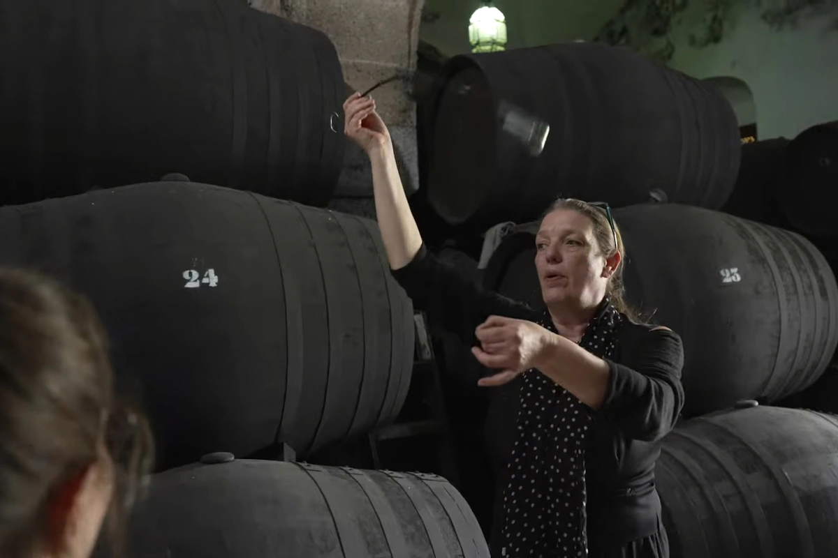 Excursión a Jerez y Cádiz con caballos desde Sevilla