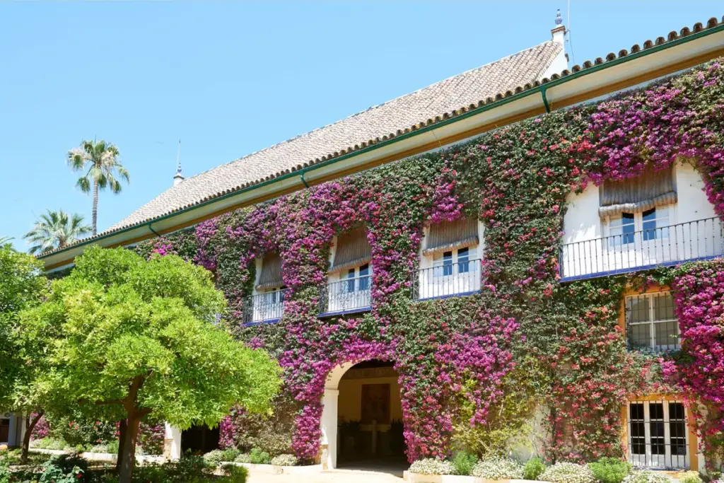Visita al Palacio de las Dueñas